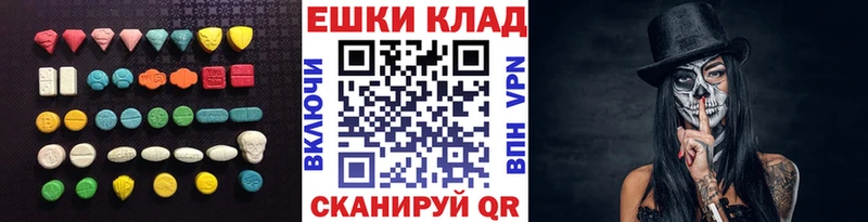 KRAKEN ТОР  Нижний Новгород  ЭКСТАЗИ Philipp Plein 