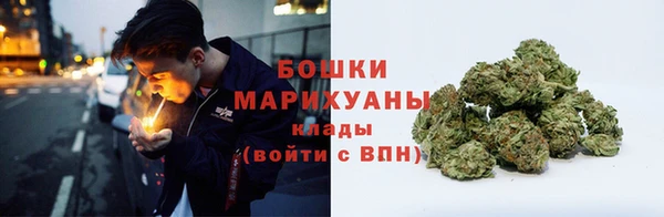 прущий лед Каменка