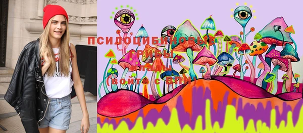 гидропоника Каменногорск