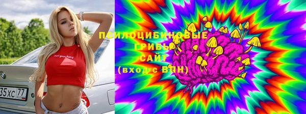 прущий лед Каменка