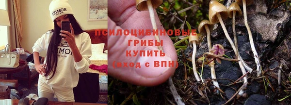 мефедрон мука Каменск-Шахтинский
