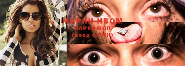 прущий лед Каменка